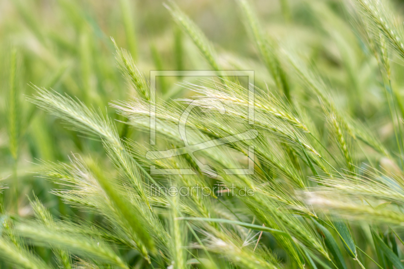 frei wählbarer Bildausschnitt für Ihr Bild auf Label