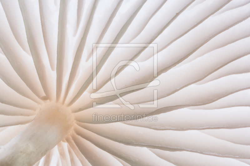 frei w&auml;hlbarer Bildausschnitt f&uuml;r Ihr Bild auf Label