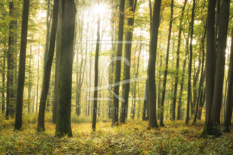 frei wählbarer Bildausschnitt für Ihr Bild auf Label