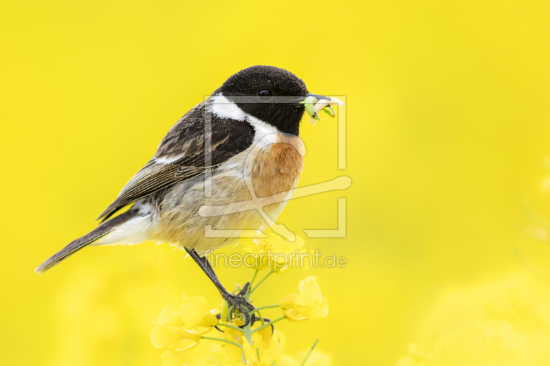 frei wählbarer Bildausschnitt für Ihr Bild auf Label