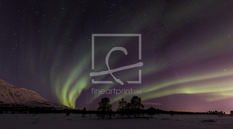 frei w&auml;hlbarer Bildausschnitt f&uuml;r Ihr Bild auf Label