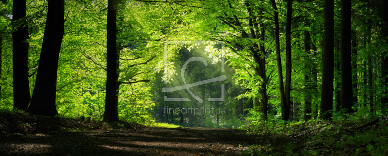 frei w&auml;hlbarer Bildausschnitt f&uuml;r Ihr Bild auf Label