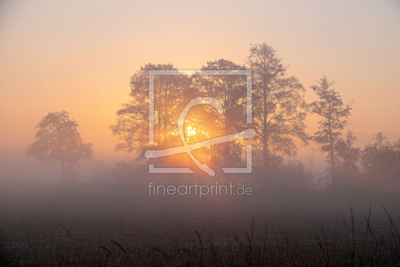 frei w&auml;hlbarer Bildausschnitt f&uuml;r Ihr Bild auf Label