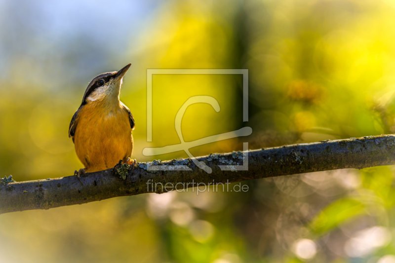 frei wählbarer Bildausschnitt für Ihr Bild auf Label