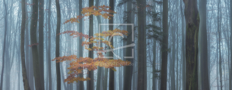 frei w&auml;hlbarer Bildausschnitt f&uuml;r Ihr Bild auf Label