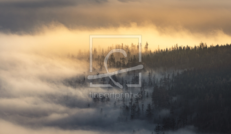 frei w&auml;hlbarer Bildausschnitt f&uuml;r Ihr Bild auf Label