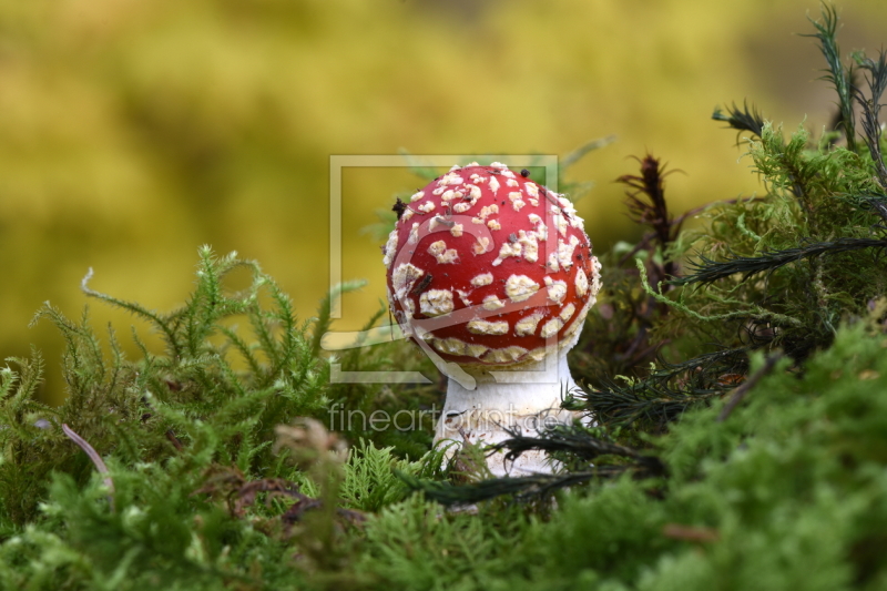 frei wählbarer Bildausschnitt für Ihr Bild auf Label