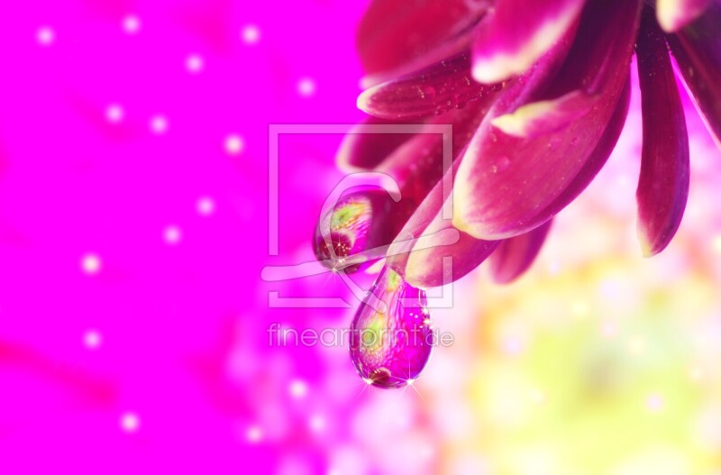 frei w&auml;hlbarer Bildausschnitt f&uuml;r Ihr Bild auf Label