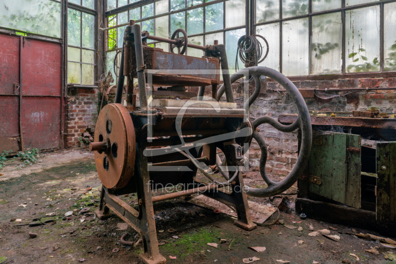 frei w&auml;hlbarer Bildausschnitt f&uuml;r Ihr Bild auf Label