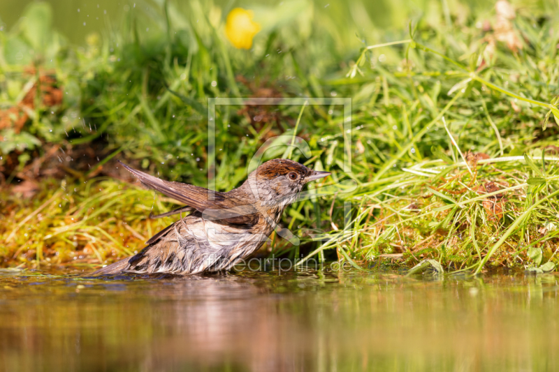 frei wählbarer Bildausschnitt für Ihr Bild auf Label