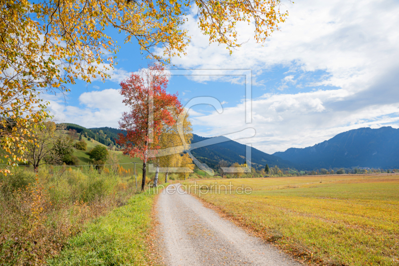 frei w&auml;hlbarer Bildausschnitt f&uuml;r Ihr Bild auf Label