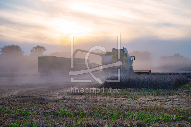 frei wählbarer Bildausschnitt für Ihr Bild auf Label