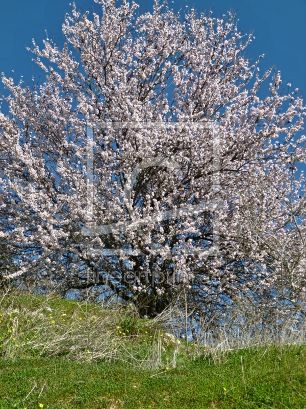frei w&auml;hlbarer Bildausschnitt f&uuml;r Ihr Bild auf Label