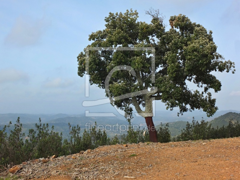 frei w&auml;hlbarer Bildausschnitt f&uuml;r Ihr Bild auf Label