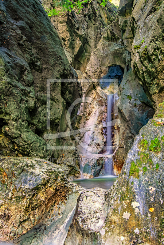 frei w&auml;hlbarer Bildausschnitt f&uuml;r Ihr Bild auf Label