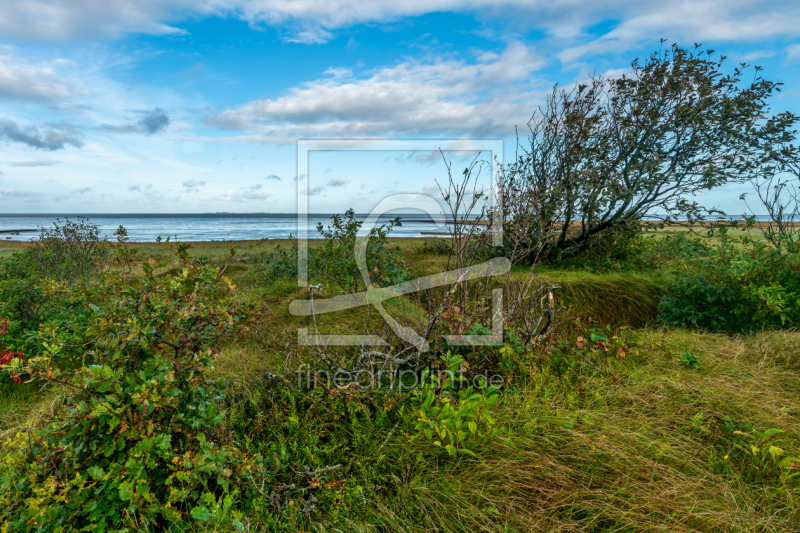 frei wählbarer Bildausschnitt für Ihr Bild auf Label