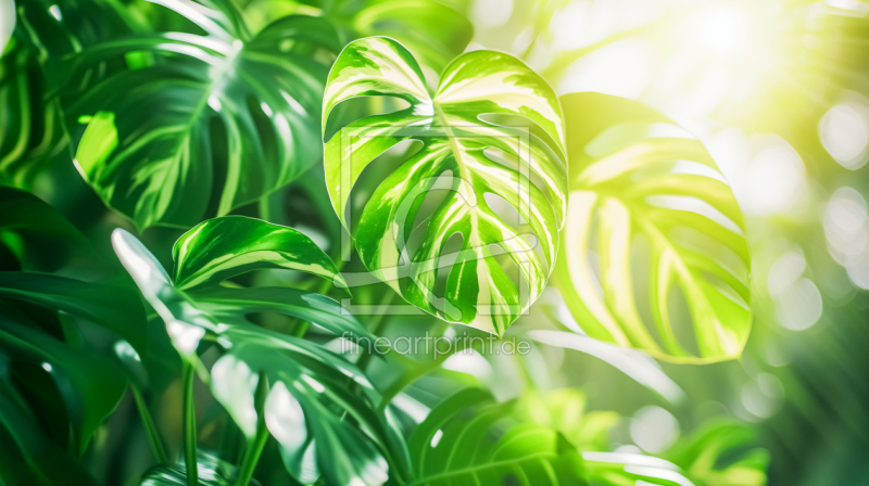 frei w&auml;hlbarer Bildausschnitt f&uuml;r Ihr Bild auf Label