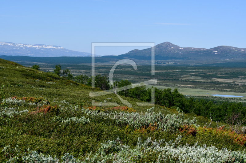 frei w&auml;hlbarer Bildausschnitt f&uuml;r Ihr Bild auf Label