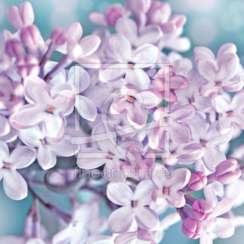 frei w&auml;hlbarer Bildausschnitt f&uuml;r Ihr Bild auf Label