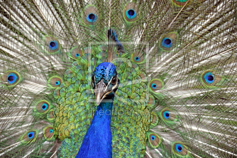 frei wählbarer Bildausschnitt für Ihr Bild auf Label