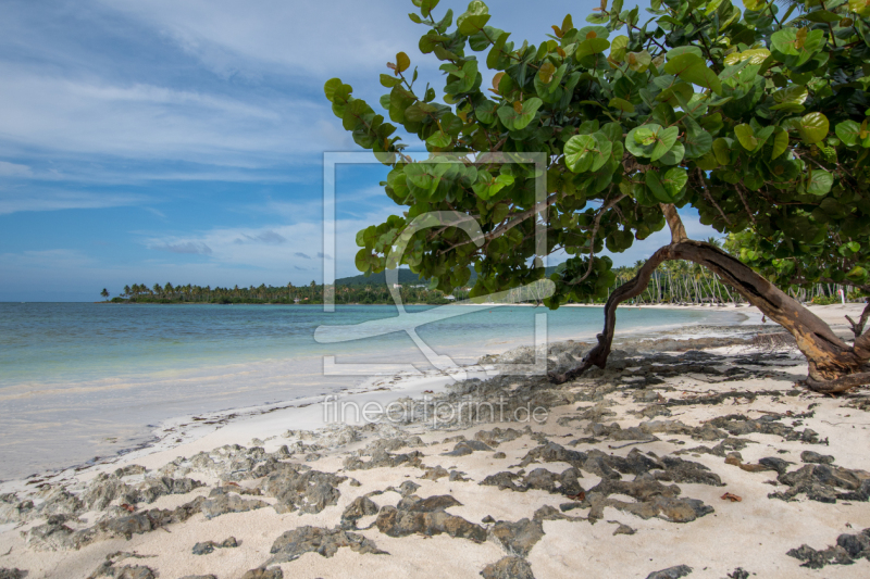 frei w&auml;hlbarer Bildausschnitt f&uuml;r Ihr Bild auf Label