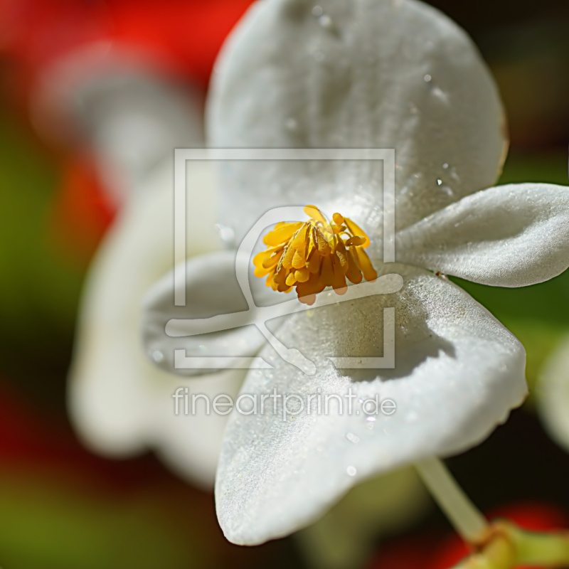 frei wählbarer Bildausschnitt für Ihr Bild auf Label