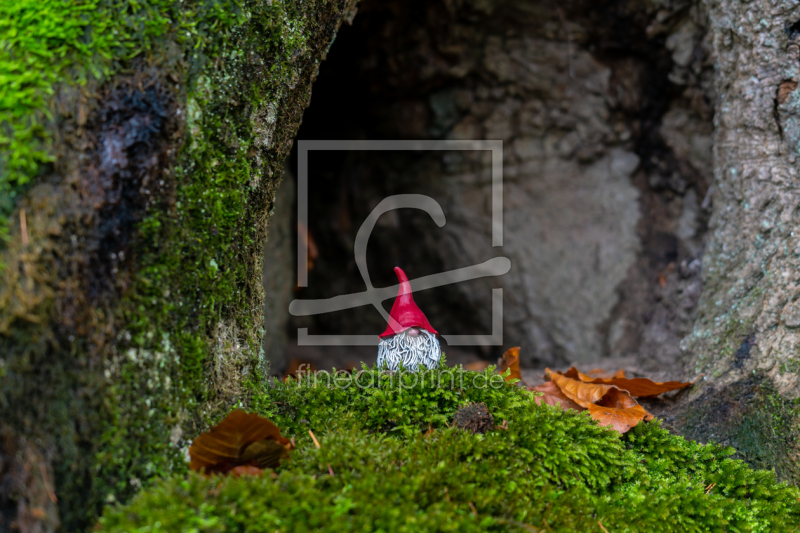 frei w&auml;hlbarer Bildausschnitt f&uuml;r Ihr Bild auf Label