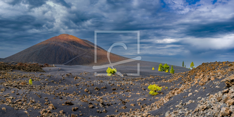 frei w&auml;hlbarer Bildausschnitt f&uuml;r Ihr Bild auf Label