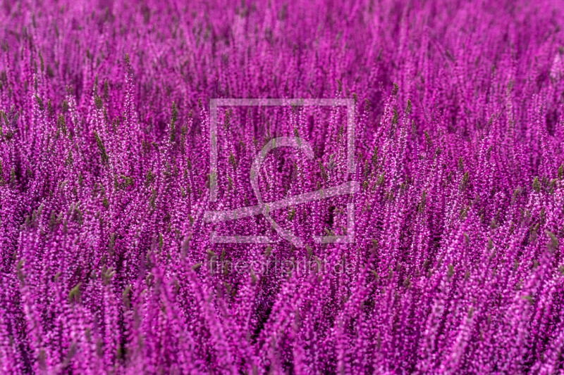 frei wählbarer Bildausschnitt für Ihr Bild auf Label