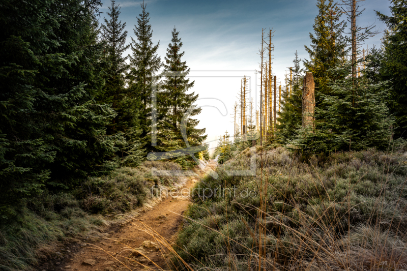 frei wählbarer Bildausschnitt für Ihr Bild auf Label