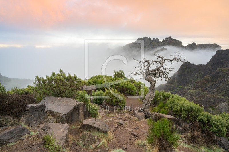 frei w&auml;hlbarer Bildausschnitt f&uuml;r Ihr Bild auf Label