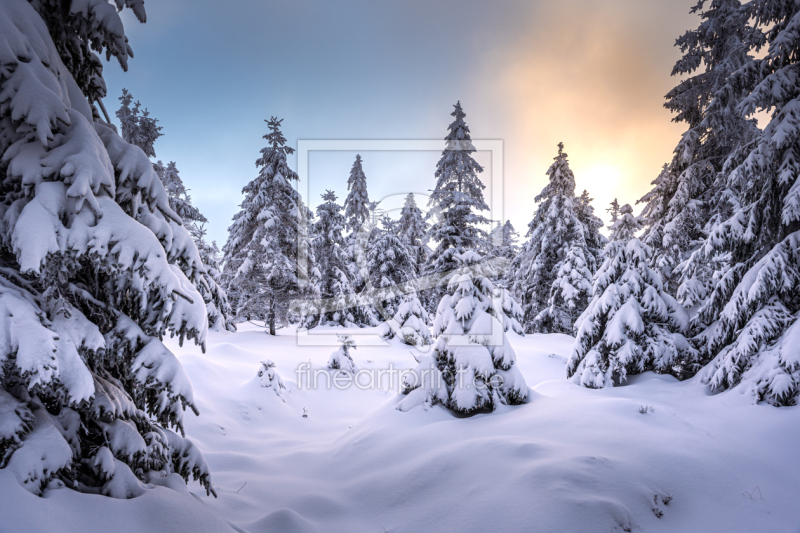 frei wählbarer Bildausschnitt für Ihr Bild auf Label