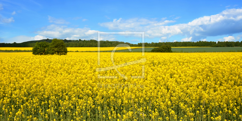 frei w&auml;hlbarer Bildausschnitt f&uuml;r Ihr Bild auf Label