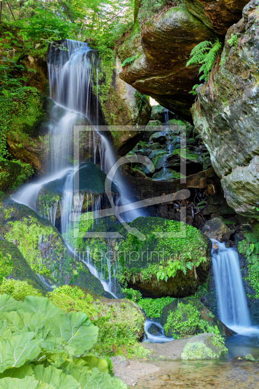 frei wählbarer Bildausschnitt für Ihr Bild auf Label