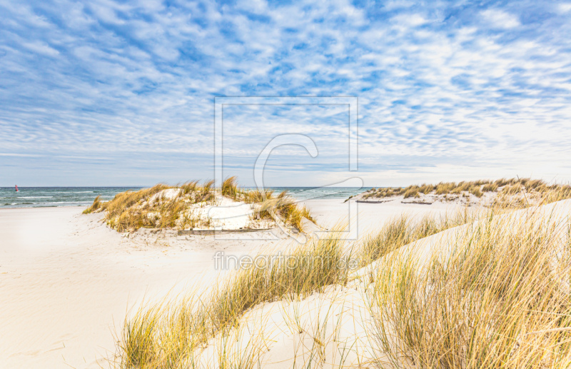 frei w&auml;hlbarer Bildausschnitt f&uuml;r Ihr Bild auf Label