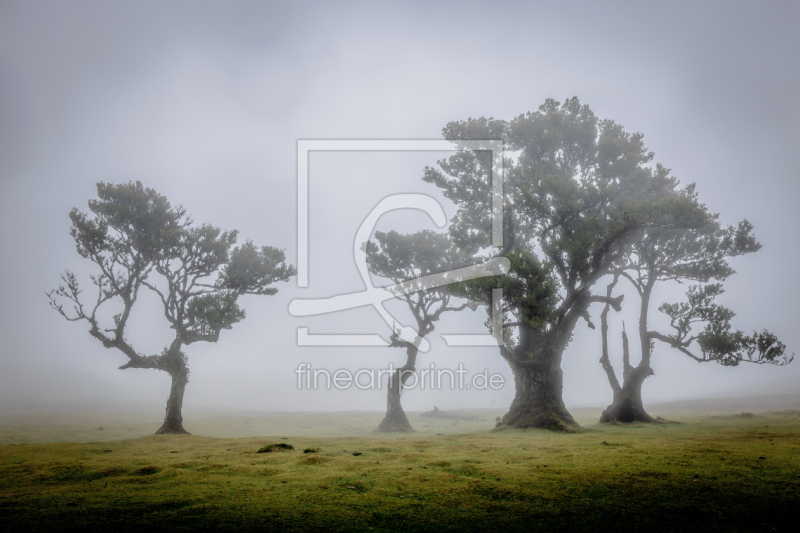 frei wählbarer Bildausschnitt für Ihr Bild auf Label