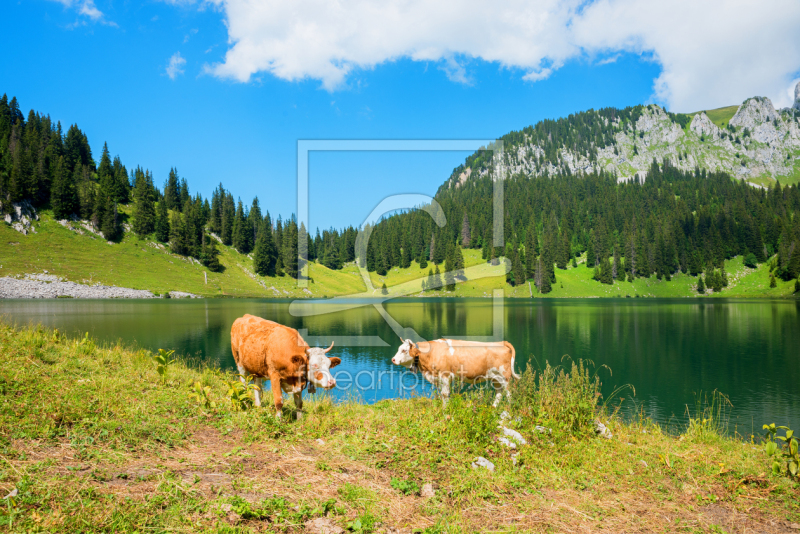 frei w&auml;hlbarer Bildausschnitt f&uuml;r Ihr Bild auf Label