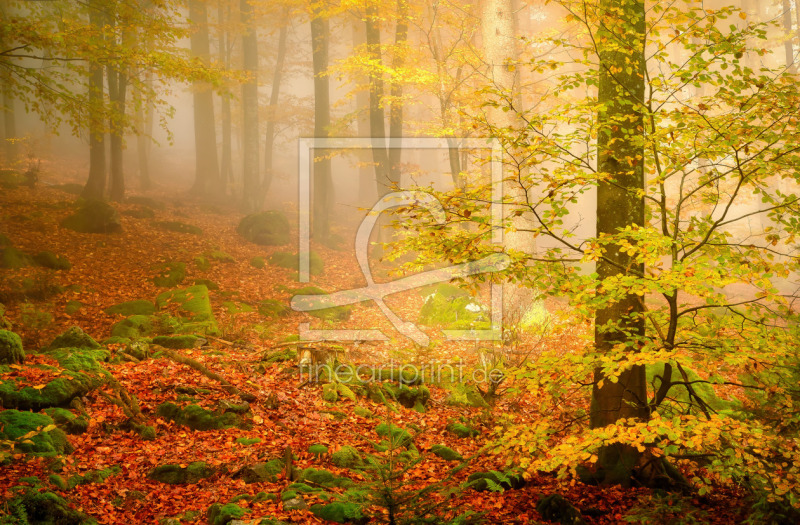 frei w&auml;hlbarer Bildausschnitt f&uuml;r Ihr Bild auf Label