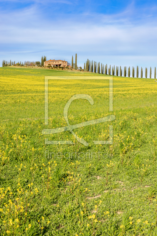 frei wählbarer Bildausschnitt für Ihr Bild auf Label
