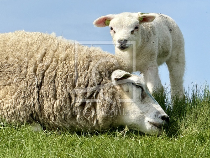 frei wählbarer Bildausschnitt für Ihr Bild auf Label