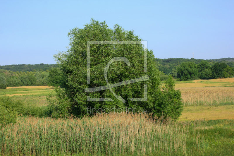 frei w&auml;hlbarer Bildausschnitt f&uuml;r Ihr Bild auf Label