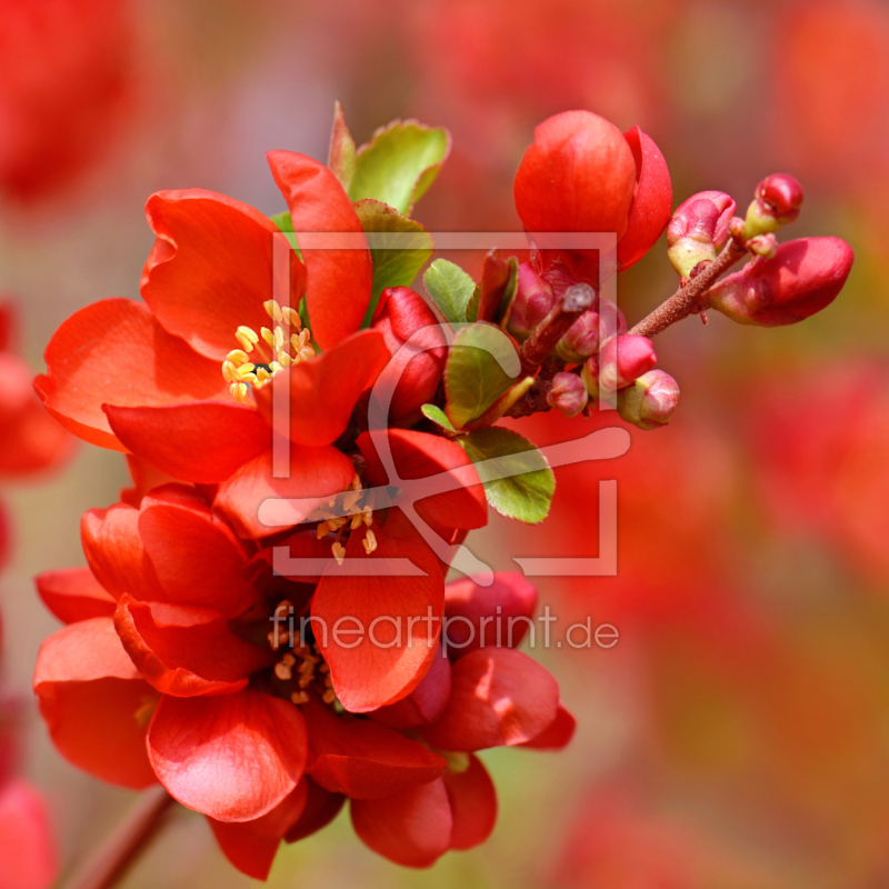 frei wählbarer Bildausschnitt für Ihr Bild auf Label