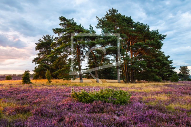 frei wählbarer Bildausschnitt für Ihr Bild auf Label