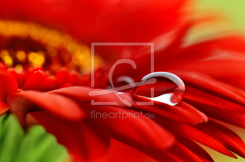 frei w&auml;hlbarer Bildausschnitt f&uuml;r Ihr Bild auf Label