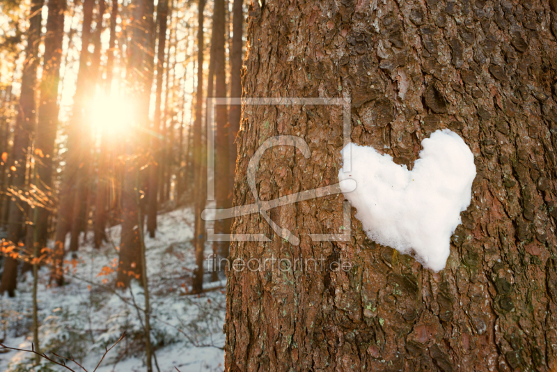 frei wählbarer Bildausschnitt für Ihr Bild auf Label