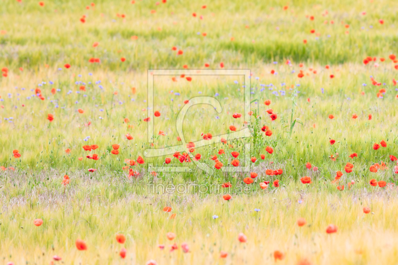 frei w&auml;hlbarer Bildausschnitt f&uuml;r Ihr Bild auf Label
