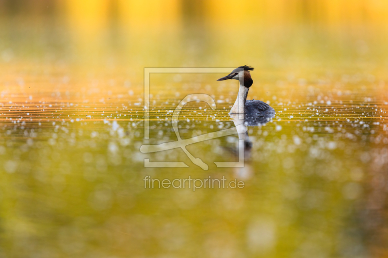 frei wählbarer Bildausschnitt für Ihr Bild auf Label