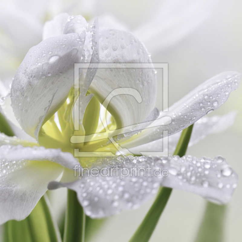 frei wählbarer Bildausschnitt für Ihr Bild auf Label