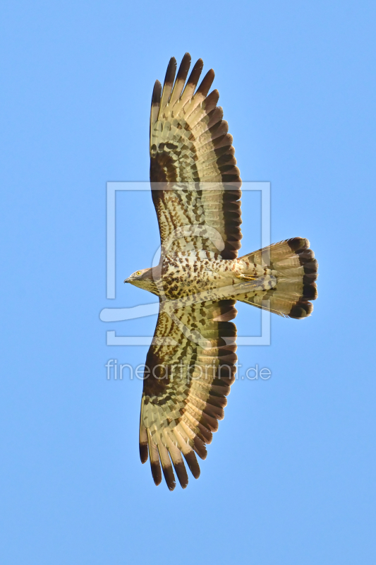 frei w&auml;hlbarer Bildausschnitt f&uuml;r Ihr Bild auf Label