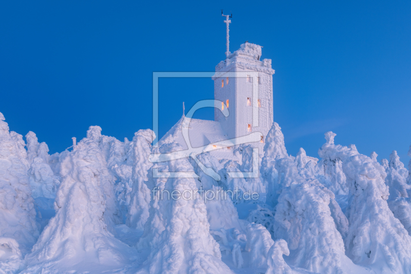 frei wählbarer Bildausschnitt für Ihr Bild auf Label